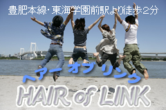 Hair of LINK